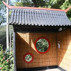 Red-crowned Cranes Aviary (Zoo Lourosa)