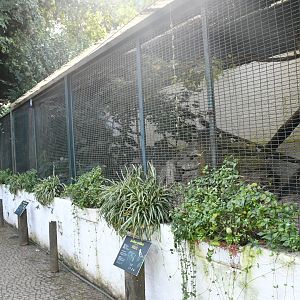 Row of Small Aviaries (Zoo Lourosa)