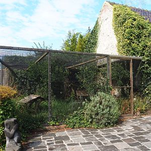 Laughing kookaburra aviary (Former Greater roadrunner aviary), 2022-09-15