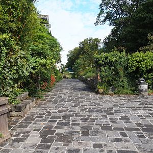 Park view near kookaburra aviary and brewery, 2022-09-15