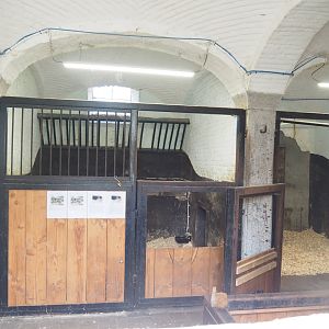 Miniature horse stables in old farm building, 2022-09-15