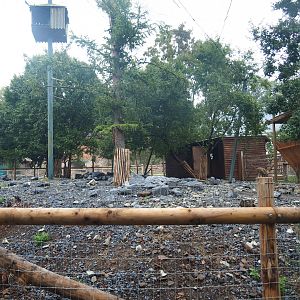 Farm area - Vicuña paddock on site of demolished vulture aviary, 2022-09-14