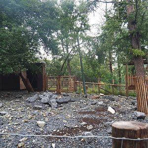 Farm area - Vicuña paddock on site of demolished vulture aviary, 2022-09-14