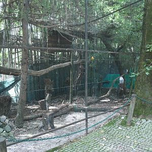 Snowy Owl Aviary (Zoo Lourosa)