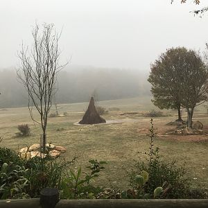 Watani Grasslands in the Fog