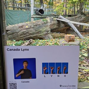 ASL sign (they are at almost every exhibit in zoo)