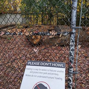"Don't Howl" at wolves Sign