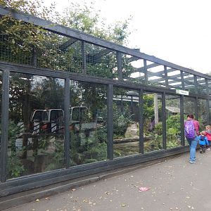 Fishing cat enclosure 200922