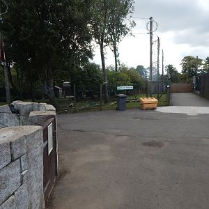 View towards Wallaby Walkthrough 200922