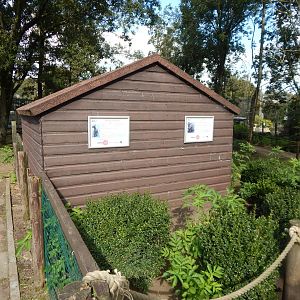 Wallaby Walkthrough 200922