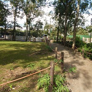 Wallaby Walkthrough 200922