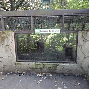 European eagle-owl aviary 200922