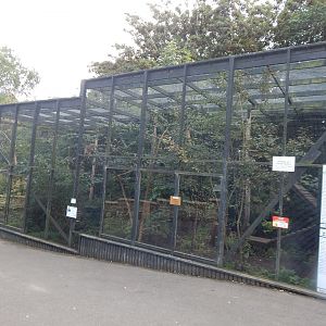 Scottish wildcat enclosure 200922