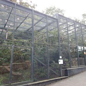 Scottish wildcat enclosure 200922