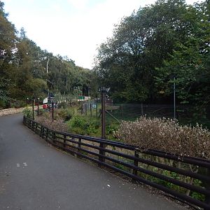 View towards Reeves' muntjac enclosure 200922