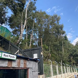 Nepalese red panda enclosure 200922