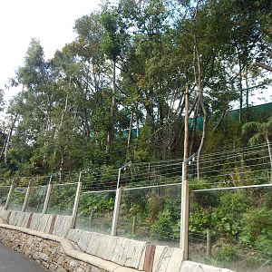 Nepalese red panda enclosure 200922