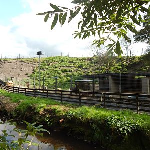 Barbary sheep enclosure 200922