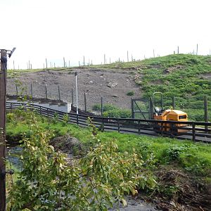 Barbary sheep enclosure 200922