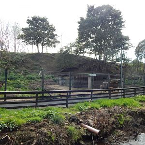 Barbary sheep enclosure 200922