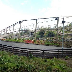 Snow leopard enclosure 200922