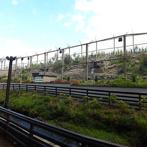 Snow leopard enclosure 200922