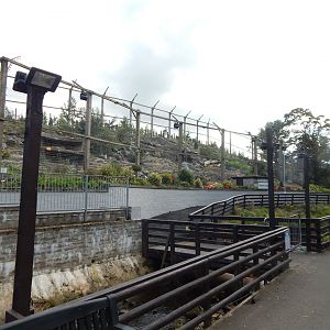 Snow leopard enclosure 200922