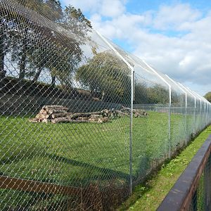 Cheetah enclosure 200922