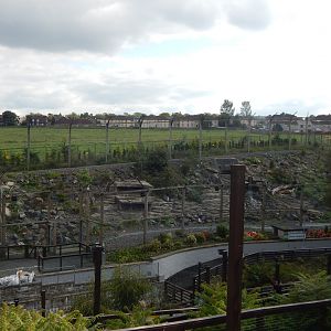 Snow leopard enclosure 200922