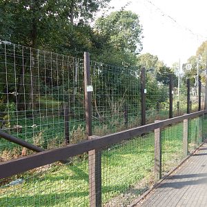 European brown bear enclosure 200922