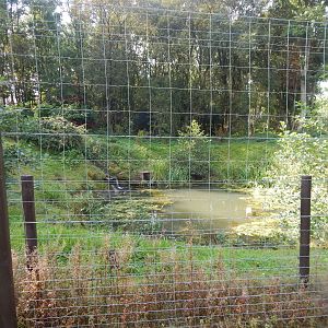 European brown bear enclosure 200922