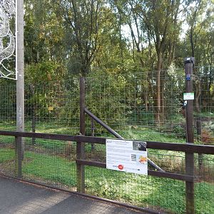 European brown bear enclosure 200922