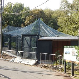 Clouded leopard enclosure 200922