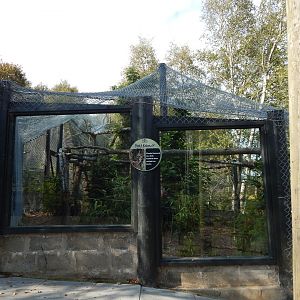 Clouded leopard enclosure 200922