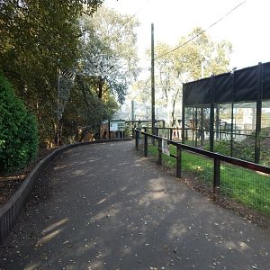 Brown bear and Clouded leopard enclosures 200922