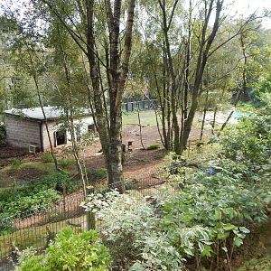 South American tapir enclosure 200922