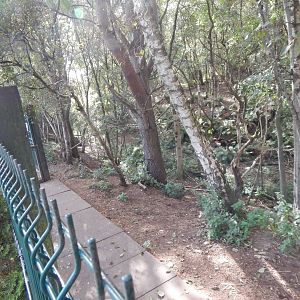 Reindeer enclosure 200922