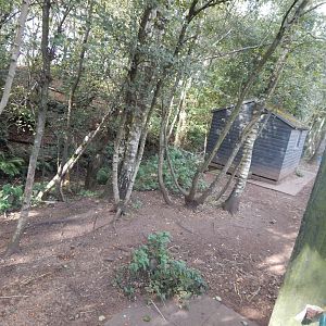 Reindeer enclosure 200922