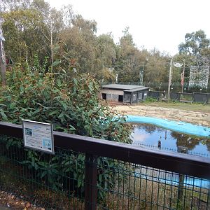 South American tapir enclosure 200922