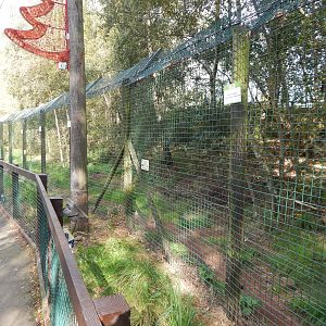Wolf enclosure 200922