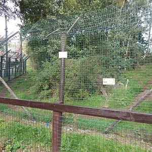 Wolf enclosure 200922