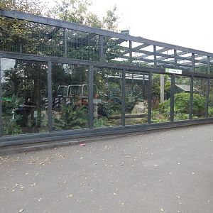 Fishing cat enclosure 200922