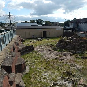 Blue crane and Meerkat enclosure 200922