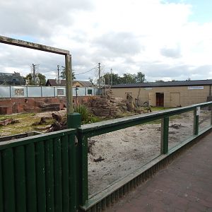 Blue crane and Meerkat enclosure 200922