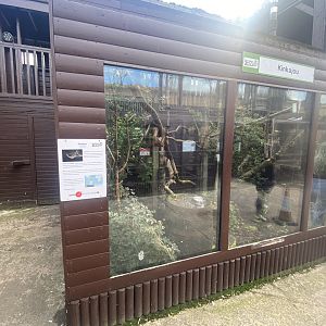 Kinkajou enclosure 200922