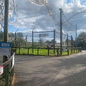 View towards Lion enclosure 200922