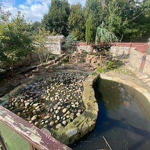 Asian small-clawed otter enclosure 200922