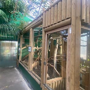 Goeldi's monkey enclosure 200922