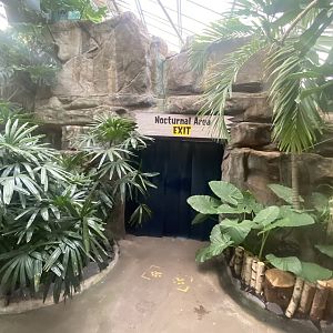 Nocturnal Area entrance 200922