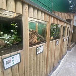 Amazonia - various tanks 200922